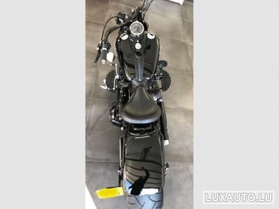 Harley-Davidson Cross Bones (2008) - Foto 4