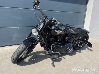 Harley-Davidson Cross Bones (2008) - Foto 6