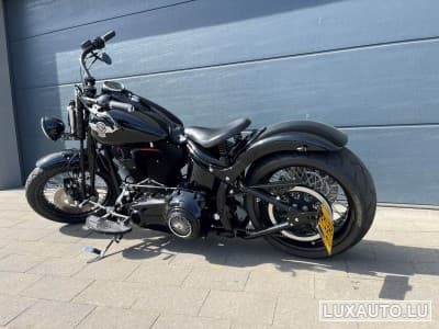 Harley-Davidson Cross Bones (2008) - Foto 7