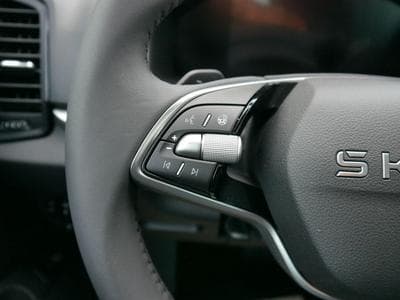 Skoda Karoq Edition (2025) - Photo 14