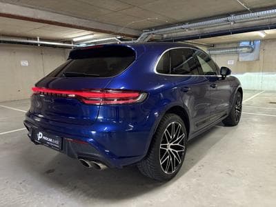 Macan