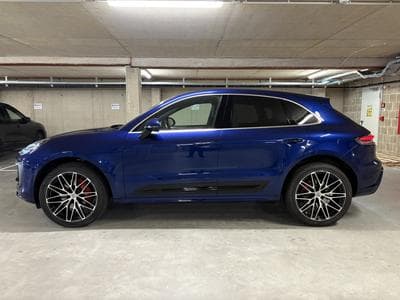Macan