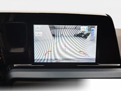 Ford Tourneo (2026) - Photo 9