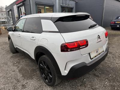 C4 Cactus