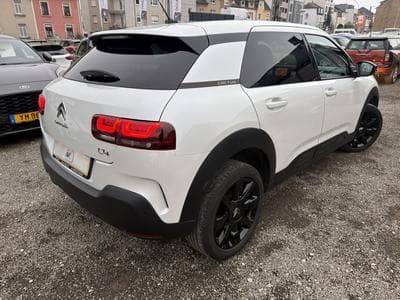 C4 Cactus