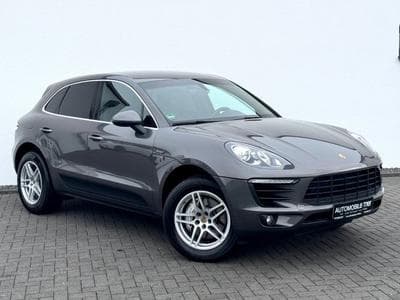 Macan