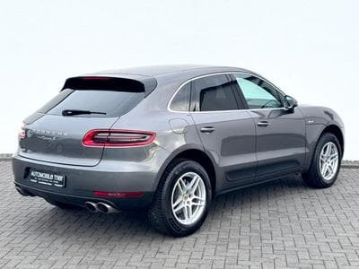 Macan