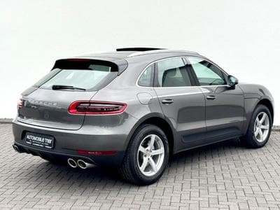 Macan
