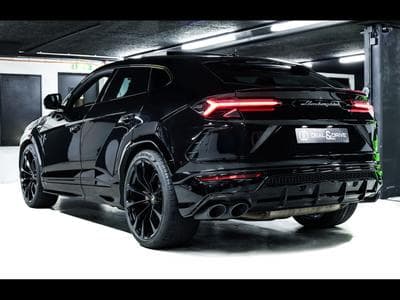 Urus