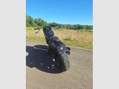 Softail Fat Bob