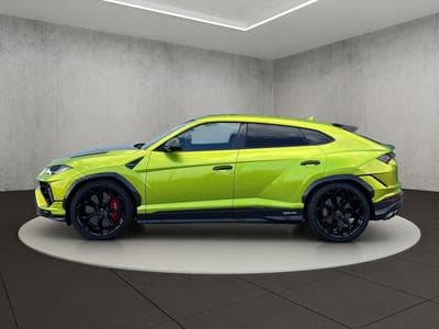 Urus