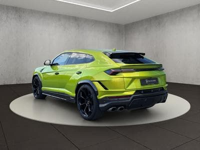 Urus