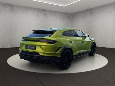 Urus