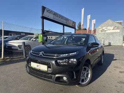 C4 Cactus