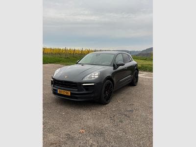 Macan