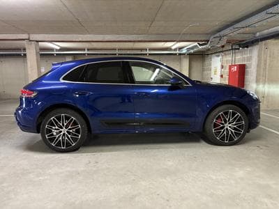 Macan
