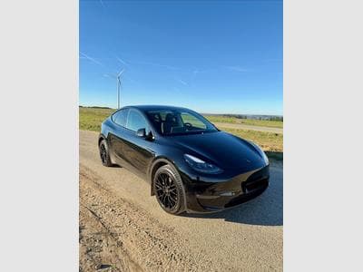 Model Y