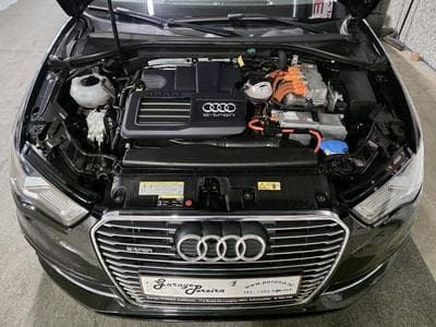 Audi A3 E-TRON SPORTBACK BANG OLUFSEN PANO LED NAVI (2014) - Foto 13