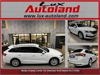 Skoda Octavia Combi TDI Selection*ATR*Matrix*ACC*CAM (2025) - Foto 1
