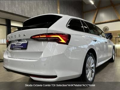 Skoda Octavia Combi TDI Selection*ATR*Matrix*ACC*CAM (2025) - Foto 3