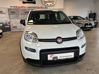 Fiat Panda (2023) - Photo 1