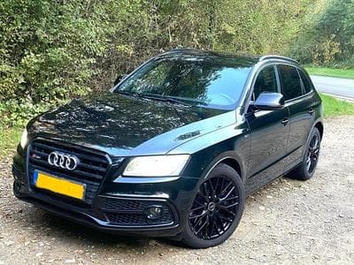 Audi SQ5 (2016) - Photo 1