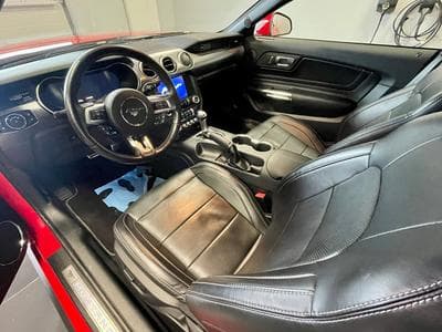 Ford Mustang Fifty Five Years (2027) - Photo 3