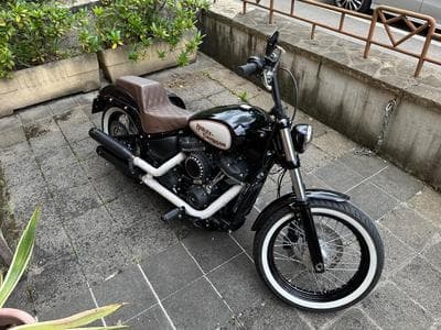 Harley-Davidson Street Bob (2020) - Photo 1