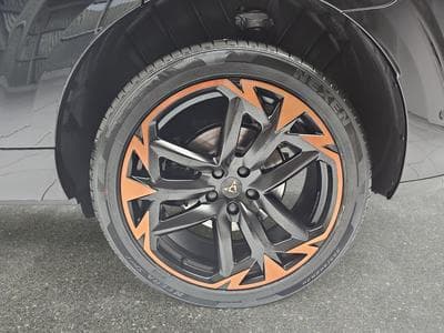 Cupra Terramar 2.0 TSI DSG 265 VZ 4Drive (2025) - Photo 6