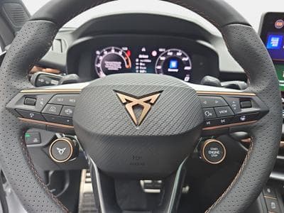 Cupra Terramar 2.0 TSI DSG 265 VZ 4Drive (2025) - Photo 14