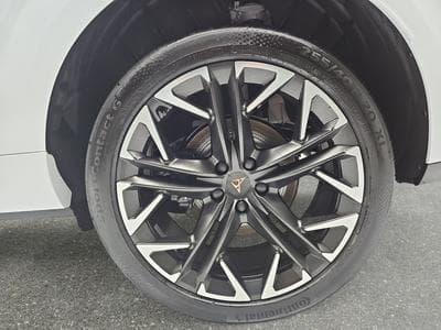 Cupra Terramar 2.0 TSI DSG 265 VZ 4Drive (2025) - Photo 6