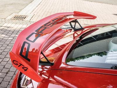 Porsche Cayman GT4 / Clubsport (2016) - Photo 9