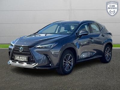Lexus NX Business Line (2024) - Photo 15
