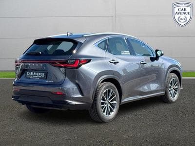Lexus NX Business Line (2024) - Foto 2