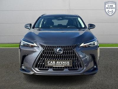 Lexus NX Business Line (2024) - Photo 3