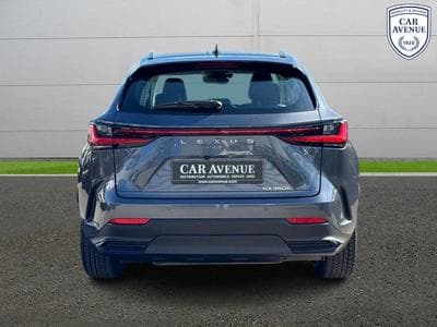 Lexus NX Business Line (2024) - Photo 4