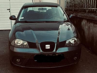 Seat Ibiza (2008) - Photo 1