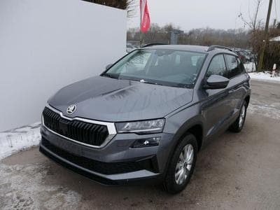 Skoda Karoq Selection (2026) - Foto 1