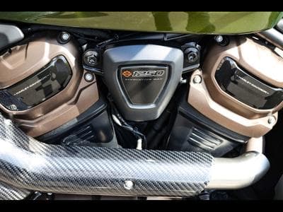 Harley-Davidson Sportster S RH1250S (2023) - Photo 10