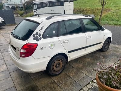 Skoda Fabia (2012) - Photo 1