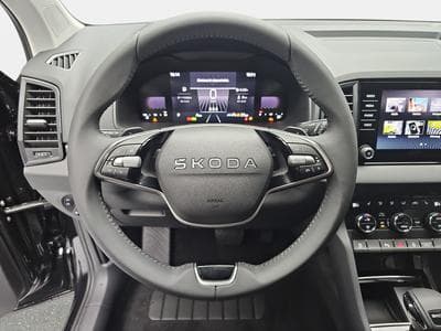 Skoda Karoq 1.5 TSi DSG 150 130 Anniversary (2025) - Photo 13