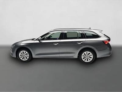 Skoda Octavia (2026) - Foto 4