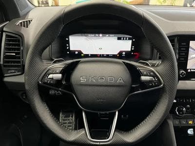 Skoda Karoq (2026) - Foto 11