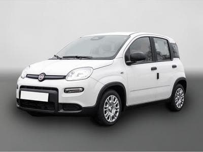 Fiat Panda (2024) - Foto 1