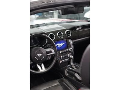 Ford Mustang 5.0Ti V8 GT Cabriolet A10 449cv (2020) - Photo 11