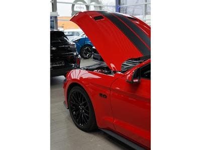 Ford Mustang 5.0Ti V8 GT Cabriolet A10 449cv (2020) - Foto 15