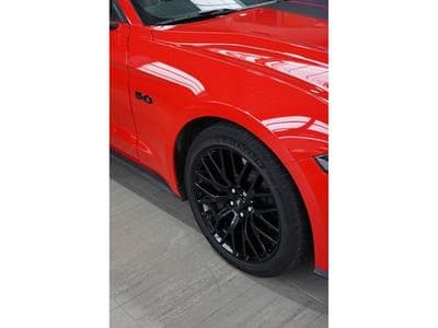 Ford Mustang 5.0Ti V8 GT Cabriolet A10 449cv (2020) - Photo 5