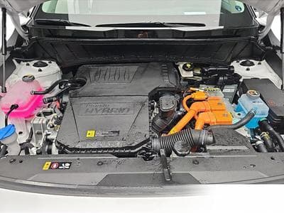 Kia Niro (2026) - Foto 14