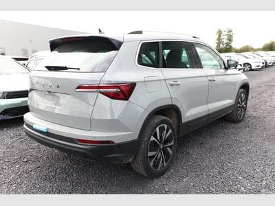 Skoda Karoq Selection (2025) - Foto 3