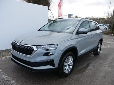 Skoda Karoq Selection 2.0 TDI DSG 4x4 (2026) - Foto 1